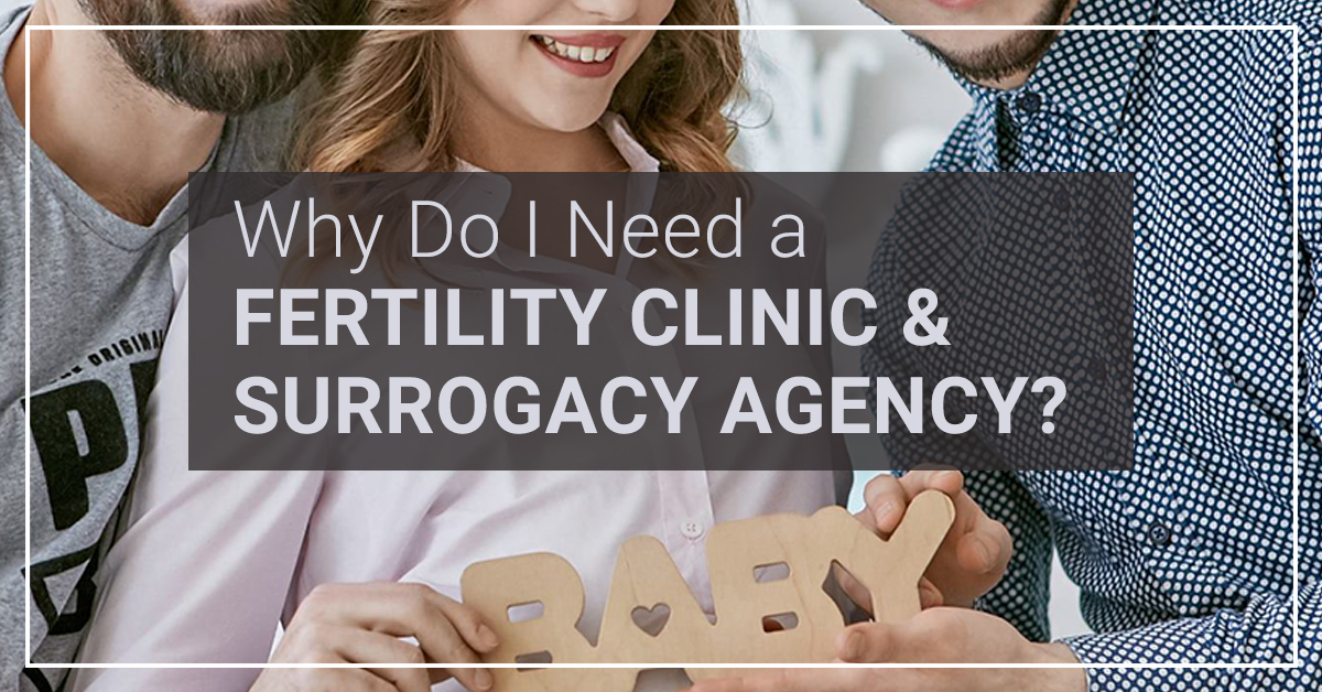 Why Do I Need A Fertility Clinic And Surrogacy Agency 8493